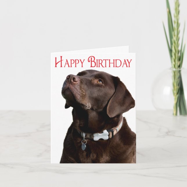 Cartão Happy Birthday Brown Labrador Retriever Puppy Card (Frente)