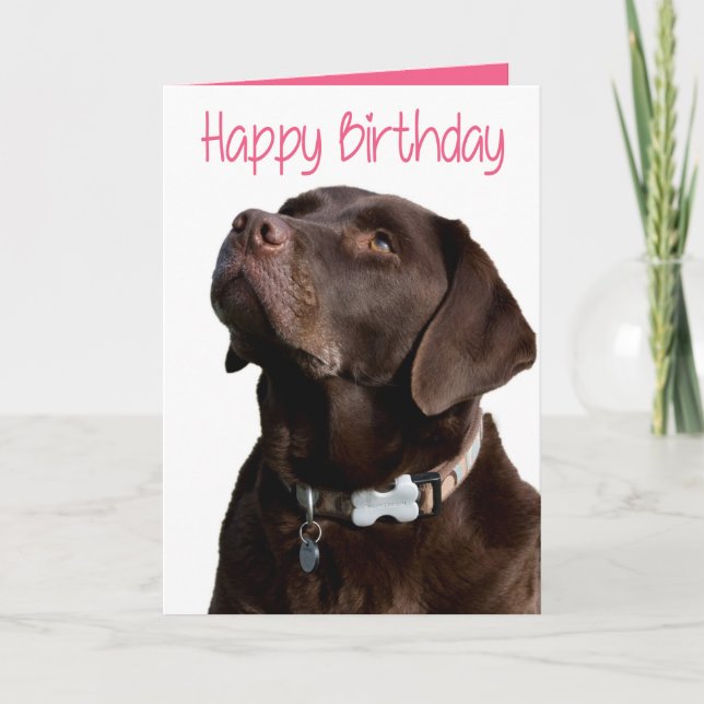 Cartão Happy Birthday Brown Labrador Retriever Puppy Pink (Frente)