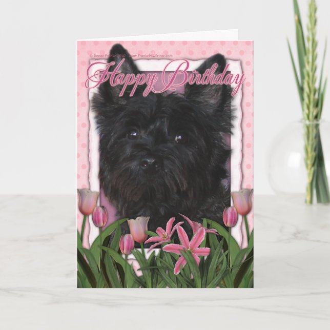 Cartão Happy Birthday - Cairn Terrier - Rosco (Frente)
