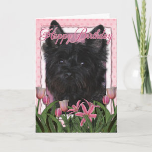 Cartão Happy Birthday - Cairn Terrier - Rosco