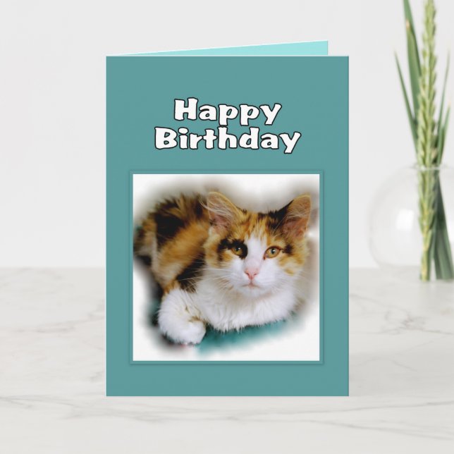 Cartão Happy Birthday Calico Cat (Frente)