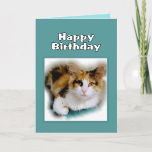 Cartão Happy Birthday Calico Cat