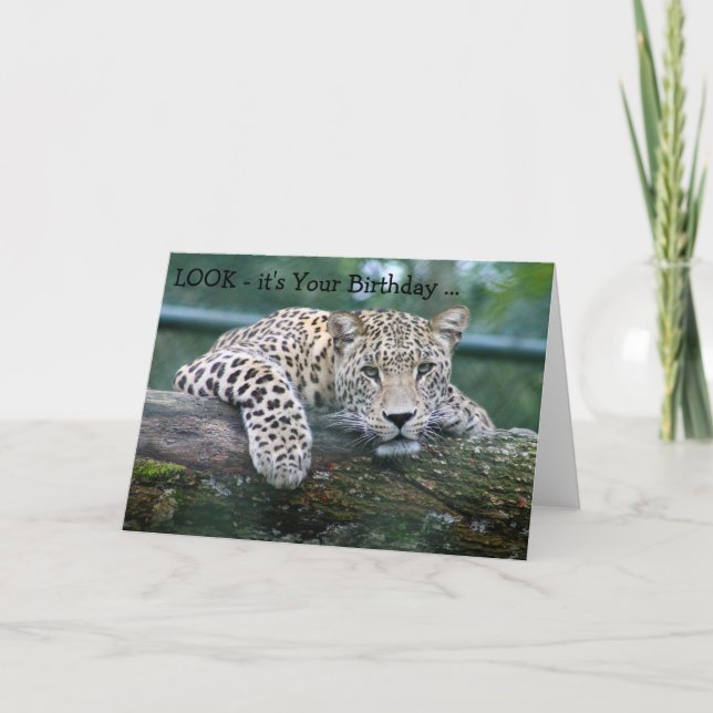 Cartão Happy Birthday Card: Leopard looking over a branch (Frente)