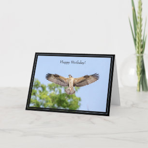 Cartão Happy Birthday Card Osprey