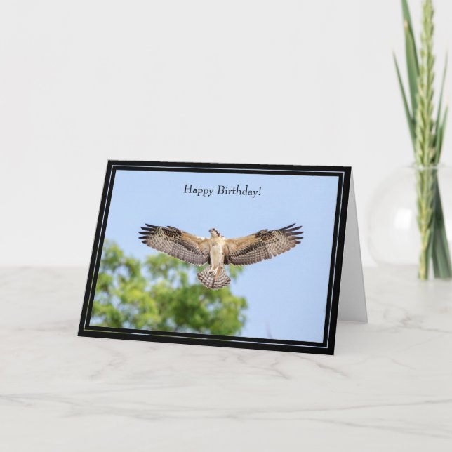 Cartão Happy Birthday Card Osprey (Frente)