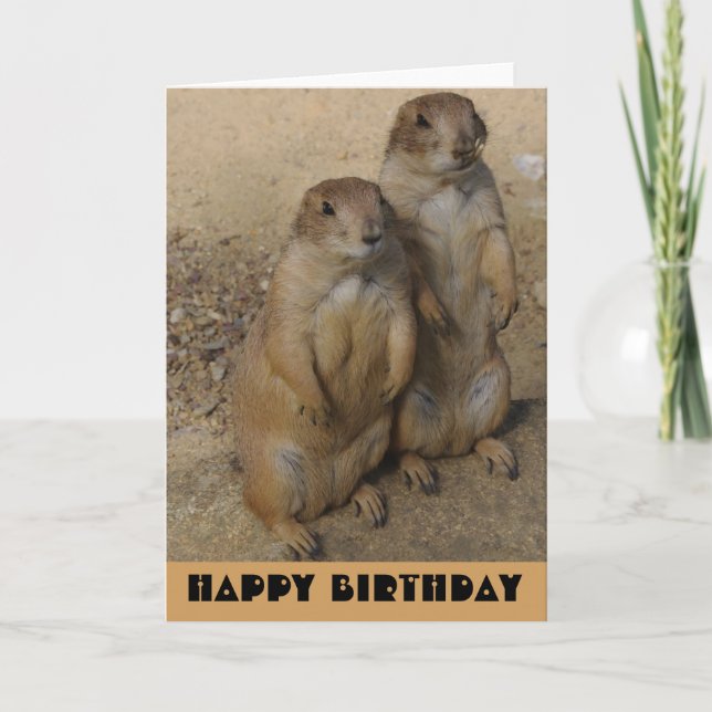 Cartão Happy Birthday card Prairie Dog (Frente)