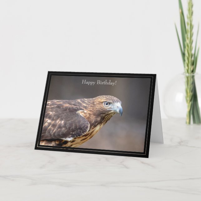 Cartão Happy Birthday Card Red-Tailed Hawk (Frente)
