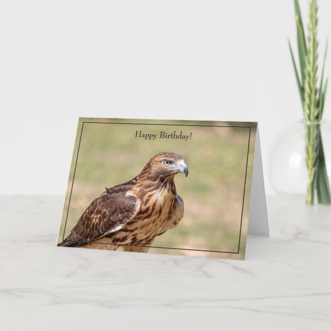 Cartão Happy Birthday Card Red-Tailed Hawk (Frente)
