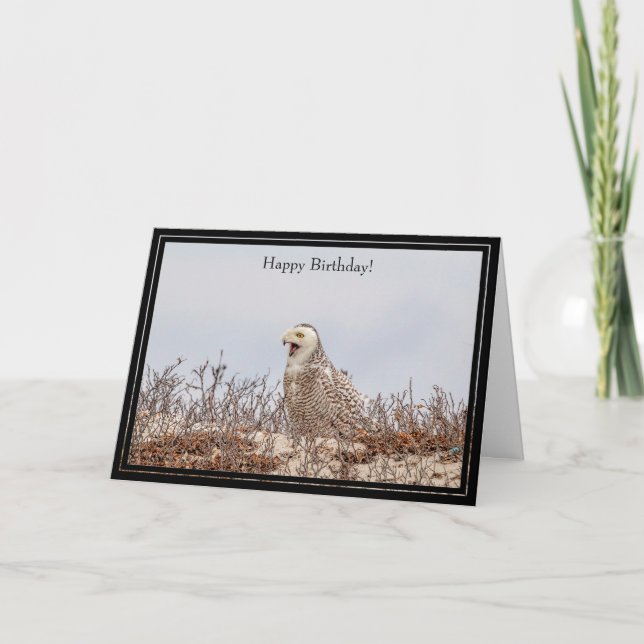 Cartão Happy Birthday Card Snowy Owl (Frente)