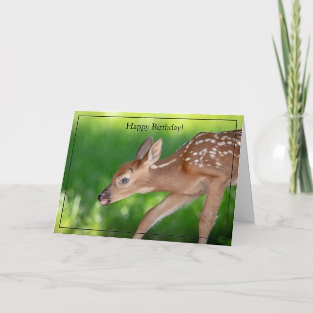 Cartão Happy Birthday Card White-Tailed Deer Fawn (Frente)