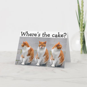 Cartão Happy Birthday Card with triple Cat