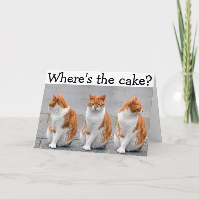 Cartão Happy Birthday Card with triple Cat (Frente)