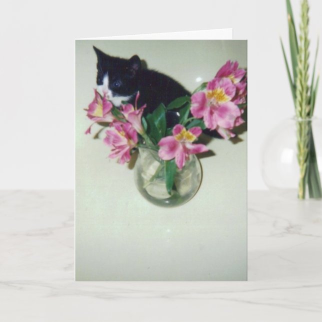Cartão Happy Birthday cat with flowers in vase (Frente)