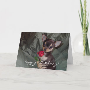 Cartão Happy Birthday Chihuahua Puppy Card