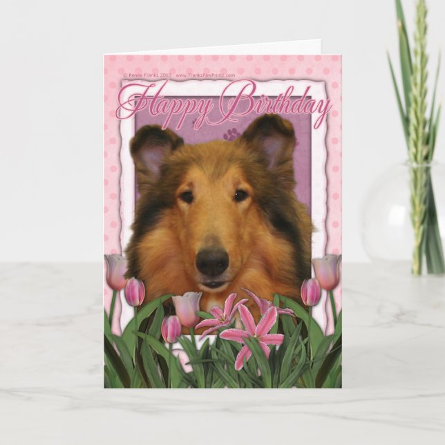 Cartão Happy Birthday - Collie - Natalie (Frente)