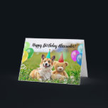 Cartão Happy Birthday Corgi Dog Folded Greeting Card<br><div class="desc">Fun Happy Birthday card of an illustrative photo artwork of a funny,  cute corgi dog and teddy bear with party hats and balloons. Great card for son or daughter as you can change name on front. You can customize the text and message inside with your personal text.</div>