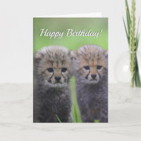 Happy Birthday Cute Cheetah Sibling Cubs