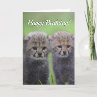 Cartão Happy Birthday Cute Cheetah Sibling Cubs