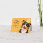 Cartão Happy Birthday Cute Dog Getting Older Fun quote<br><div class="desc">Cute Happy Dog in a Birthday Hat. Now that you're getting older you may soon be able to plan your own surprise party.  Perfect humorous card for anyone with a sense of humor about getting older,  over the hill or becoming an old timer.</div>