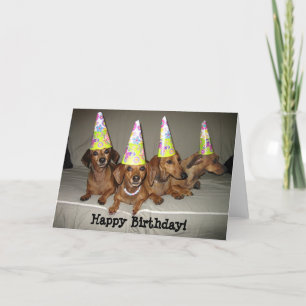 Cartão Happy Birthday Dachshund