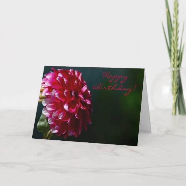 Cartão Happy Birthday Dahlia Card (Frente)