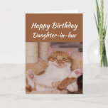 Cartão Happy Birthday Daughter-in-law Celebrate Funny Cat<br><div class="desc">Happy Birthday Daughter-in-law Celebrate it any way you want with a cute relaxing Cat Funny animal birthday greeting to customize</div>