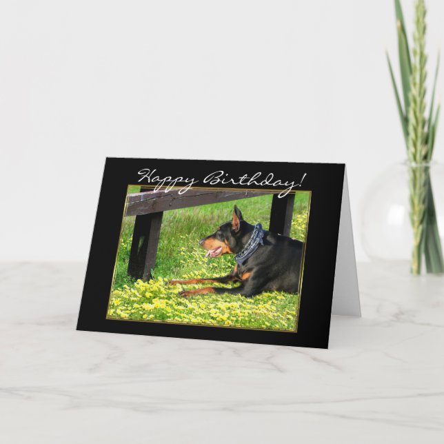 Cartão Happy Birthday Doberman Pinscher greeting card (Frente)