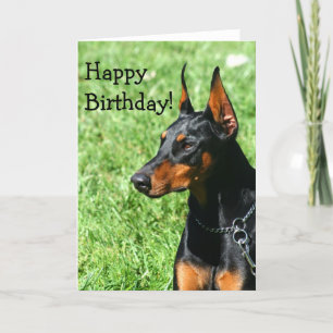 Cartão Happy Birthday Doberman Pinscher greeting card