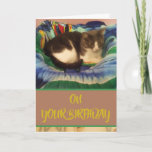 Cartão Happy Birthday Domestic Grey and White Kitty Cat<br><div class="desc">Custom Happy Birthday card featuring a grey and white cat. You can easily change the text spelling; font color,  style and size with the Zazzle Edit Design button.</div>