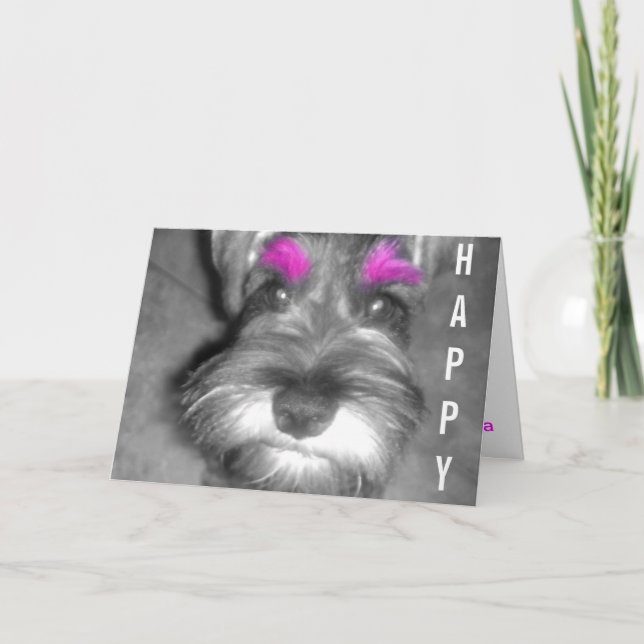 Cartão Happy Birthday Dude Miniature Schnauzer Puppy (Frente)