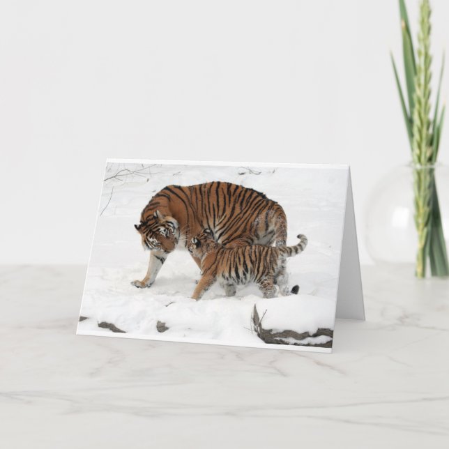 Cartão Happy Birthday Father Beautiful Dad Tiger & Cub (Frente)