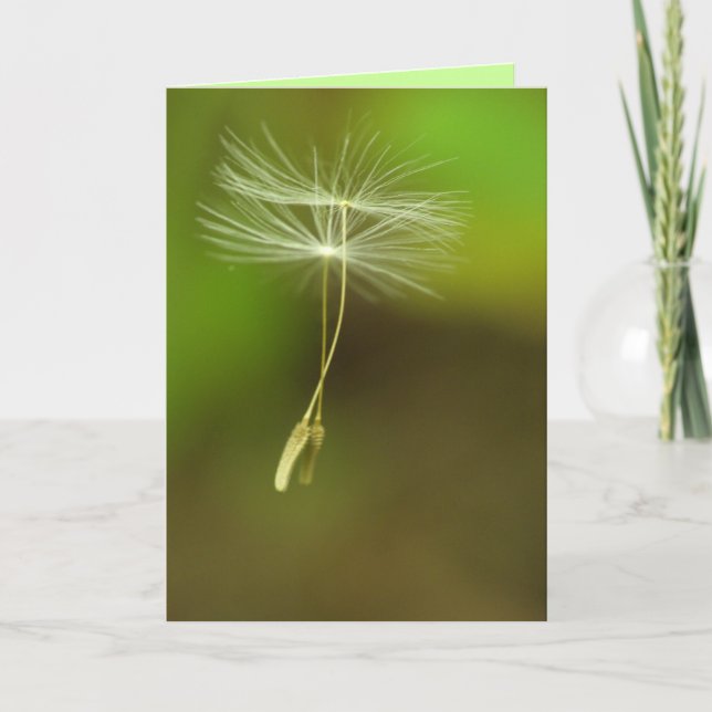 Cartão Happy Birthday - Flying Dandelion seeds (Frente)