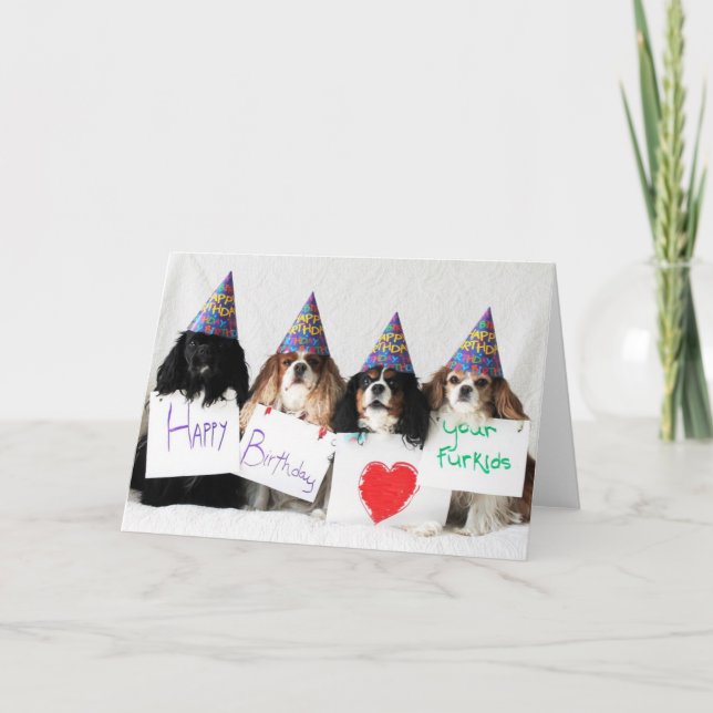 Cartão Happy Birthday from the Day Dog Cavaliers (Frente)