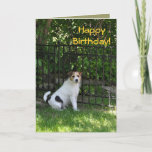 Cartão Happy Birthday from the Dog<br><div class="desc">Custom Birthday Card Designs by Janz © 2008-2014 Jan Fitzgerald. All rights reserved. Graphic Design,  Artwork,  & Photography by Jan & Michael Fitzgerald...  1 card SOLD to date ;-)</div>