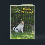 Cartão Happy Birthday from the Dog<br><div class="desc">Custom Birthday Card Designs by Janz © 2008-2014 Jan Fitzgerald. All rights reserved. Graphic Design,  Artwork,  & Photography by Jan & Michael Fitzgerald...  1 card SOLD to date ;-)</div>