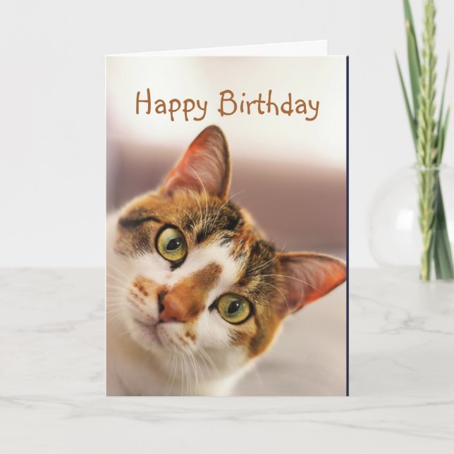 Cartão Happy Birthday Fun Cat Kitten Pop in (Frente)