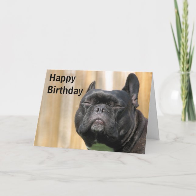 Cartão Happy Birthday Fun - Paris Merille (Frente)