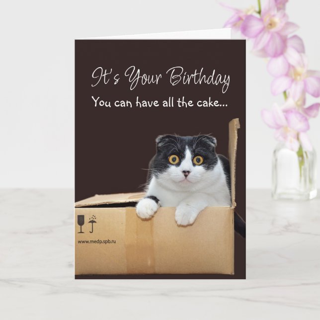 Cartão Happy Birthday Funny Cat  (Orquídea)