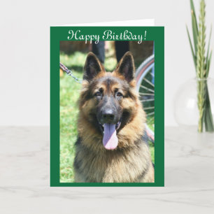 Cartão Happy Birthday German Shepherd greeting card