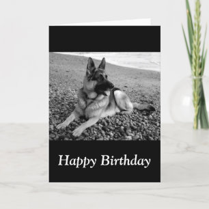Cartão Happy Birthday German Shepherd Puppy Dog Card