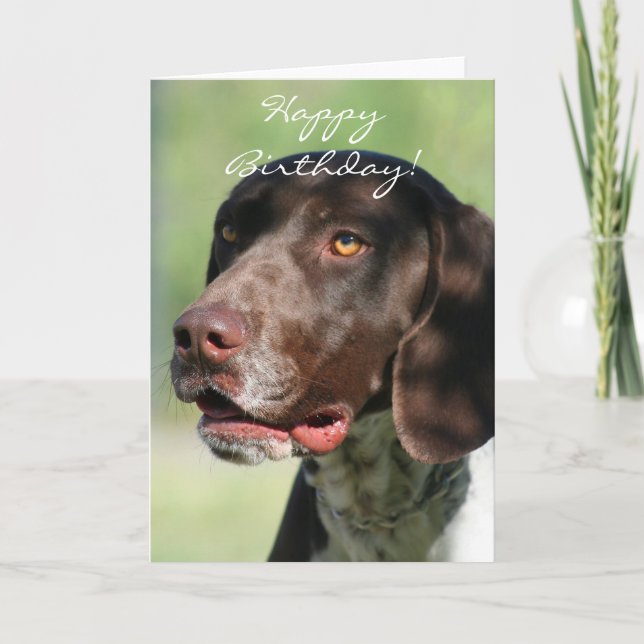 Cartão Happy Birthday German Shorthaired Pointer (Frente)