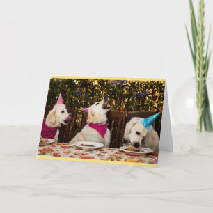 Cartão Happy Birthday Golden Retriever Photo Card