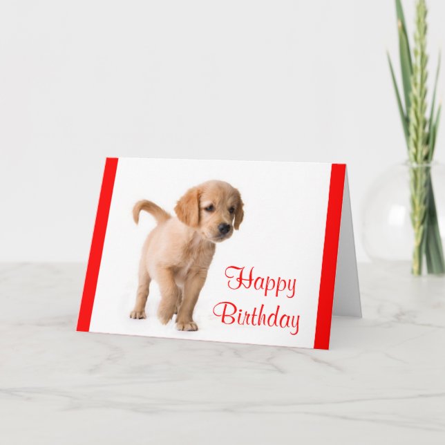 Cartão Happy Birthday Golden Retriever Puppy Dog Card (Frente)