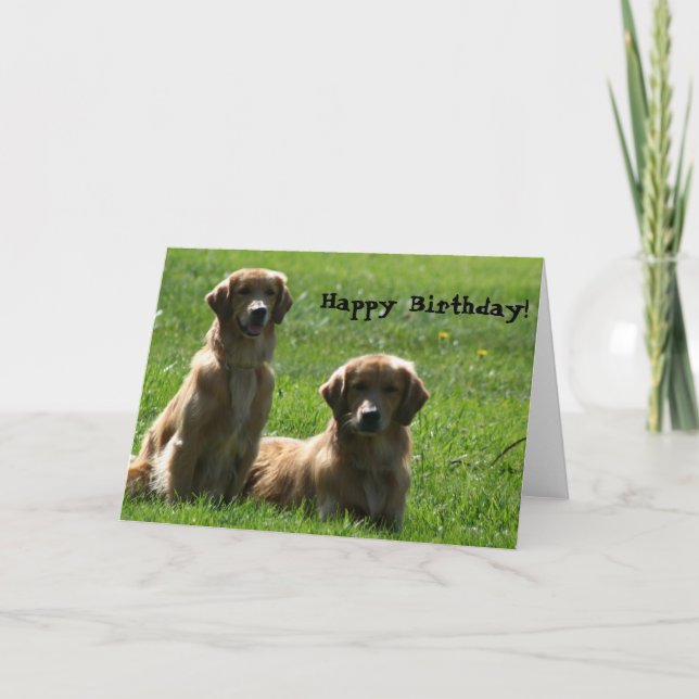Cartão Happy Birthday Golden Retrievers greeting card (Frente)