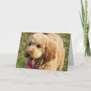 Cartão Happy Birthday Goldendoodle Dog