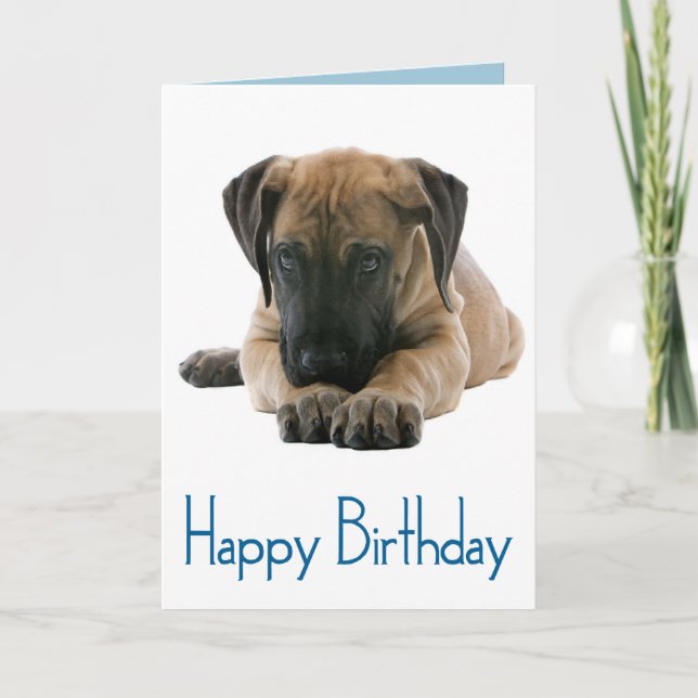Cartão Happy Birthday Great Dane Puppy Dog Card - Verse (Frente)
