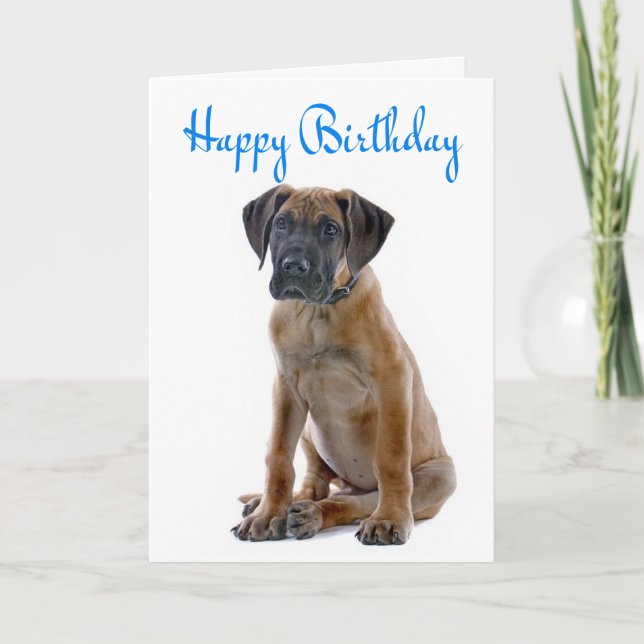 Cartão Happy Birthday Great Dane Puppy Dog Card - Verse (Frente)