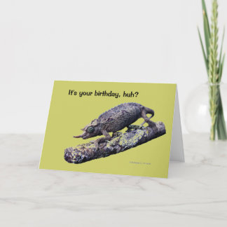 Cartão Happy birthday greeting card (in green)