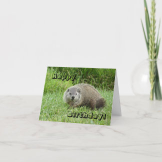 Cartão Happy Birthday groundhog
