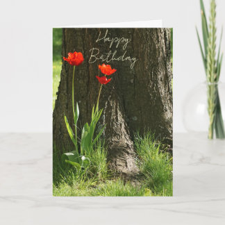 Cartão Happy Birthday Grußkarte mit roten Tulpen
